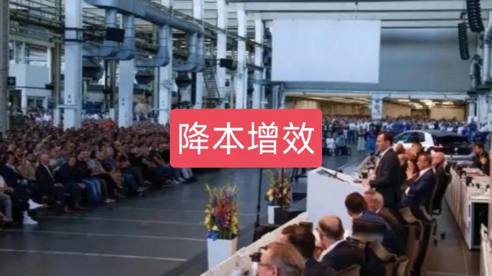 我对大众这一波紧缩计划的成效持保留意见，因为和工会有协议，2029年前都不能裁员