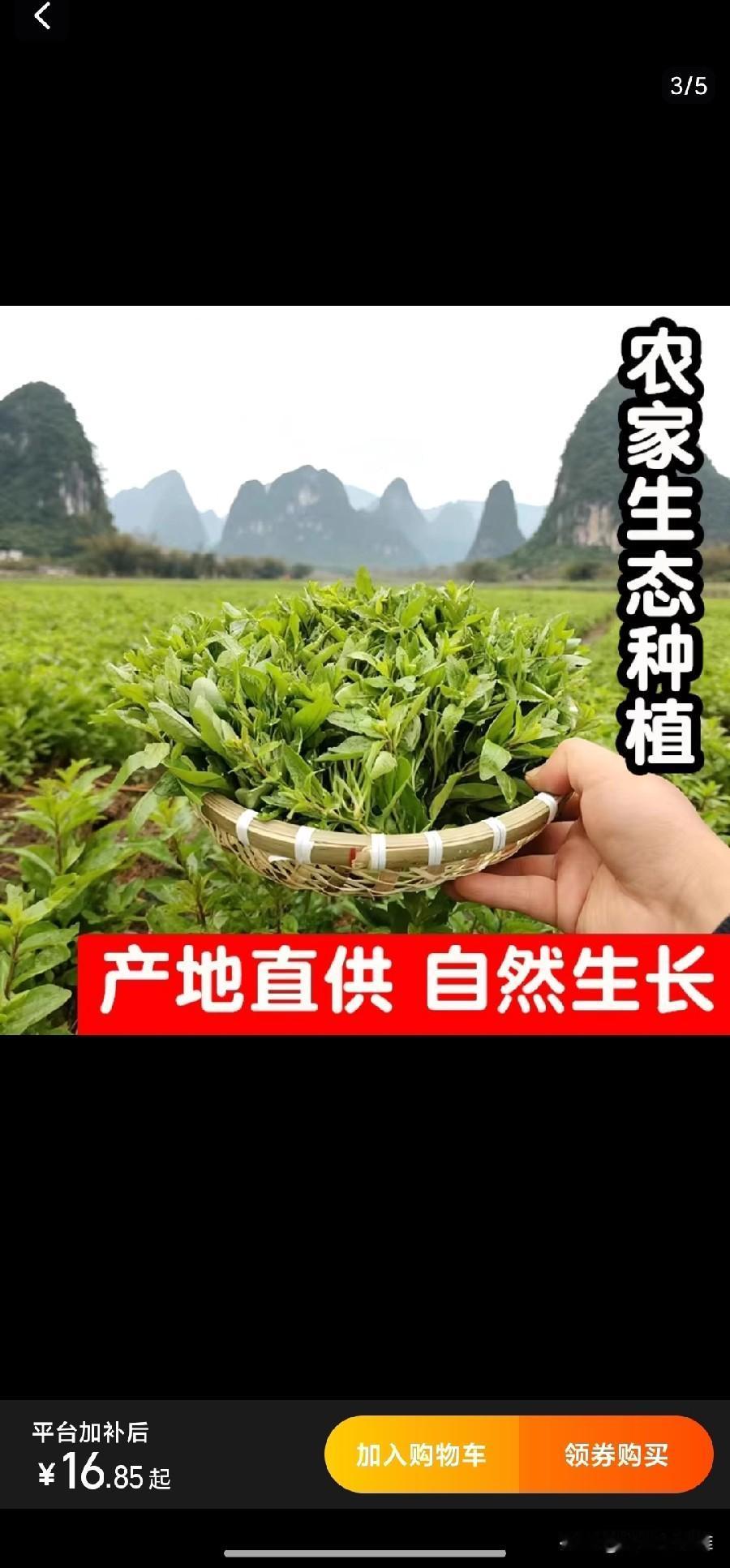 这枸杞叶子烫火锅吃真的是极品呀！去火口感还微甜，可以吊打川渝火锅神菜豌豆苗了！