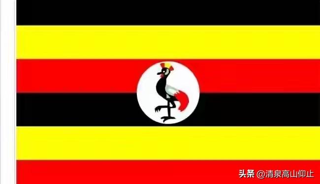 乌干达，台商入境设门槛！

非洲乌干达首都机场，海关工作人员对三名持旅游签证入境