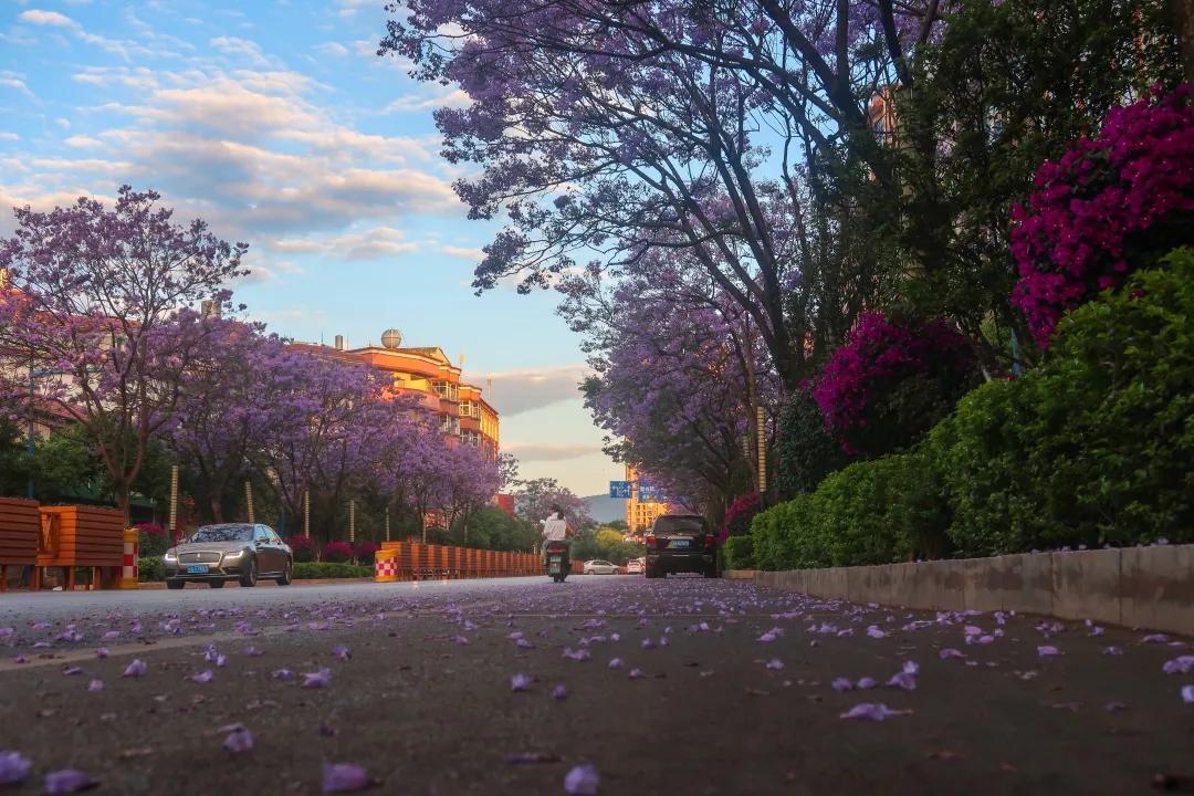 周一盘后再度传出行业涨价的新消息，周二看盘重点探讨！
据媒体消息，涨价潮已席卷汽
