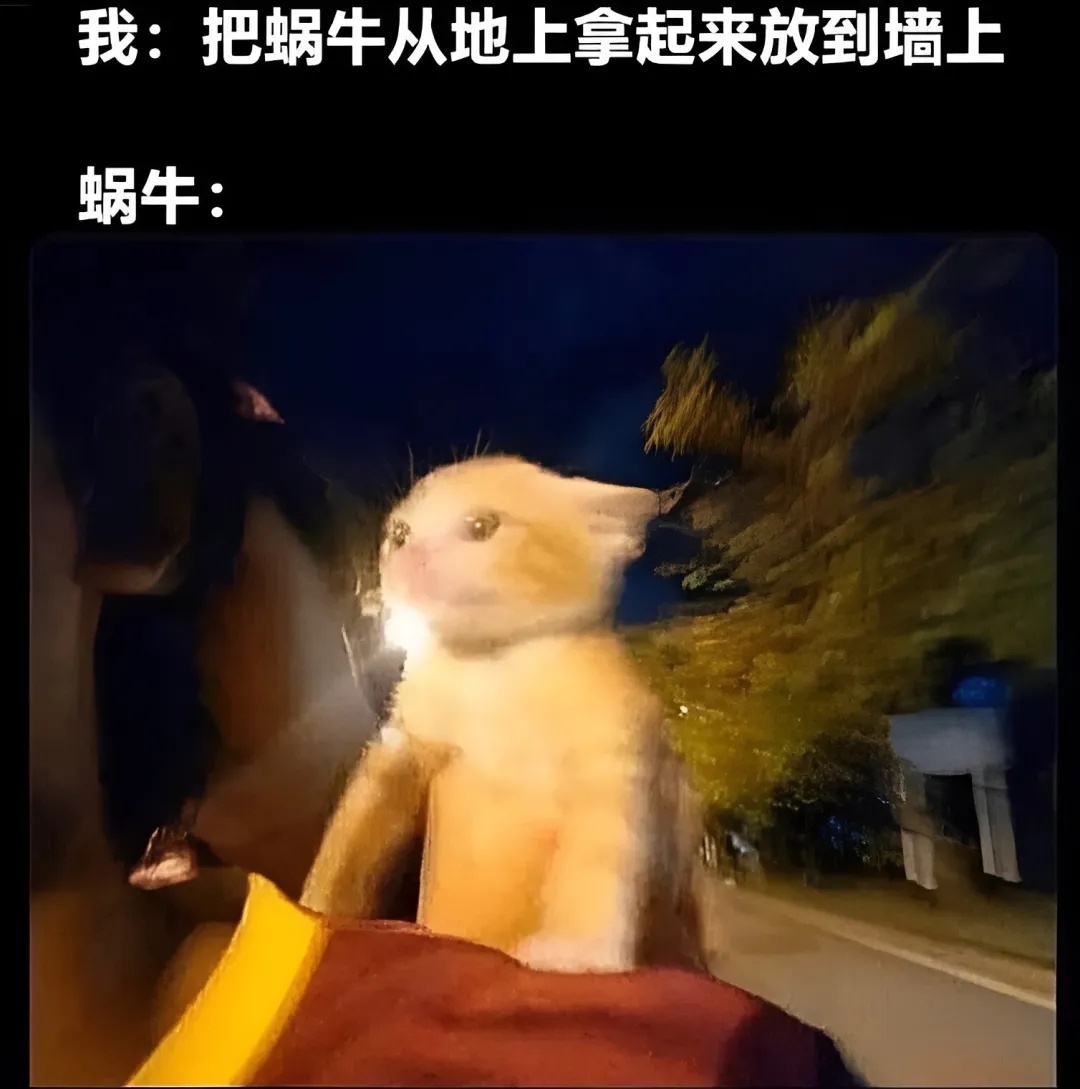 🐌：我发现了穿越时空的秘密 蛇年造梗大赛  / 