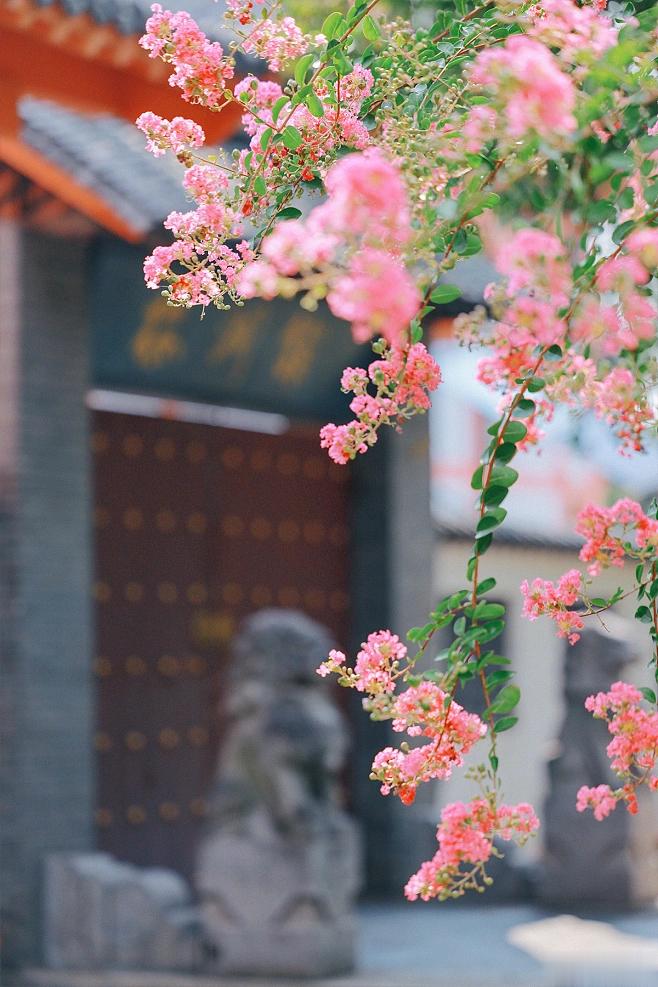 不思，故有惑；不求，故无得；不问，故不知。—— 曾国藩 