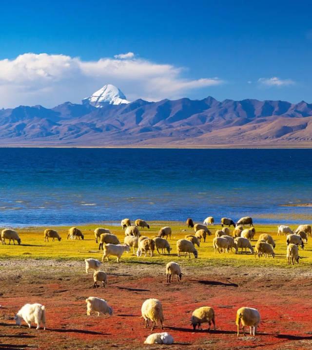 别被“阿鲁纳恰尔邦”骗了！中国压根不认这个地方！

很多朋友可能在网上看到过一个