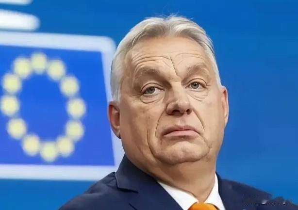 2025年12月31日，匈牙利总理欧尔班表示:“匈牙利应避免卷入俄乌冲突”。
这