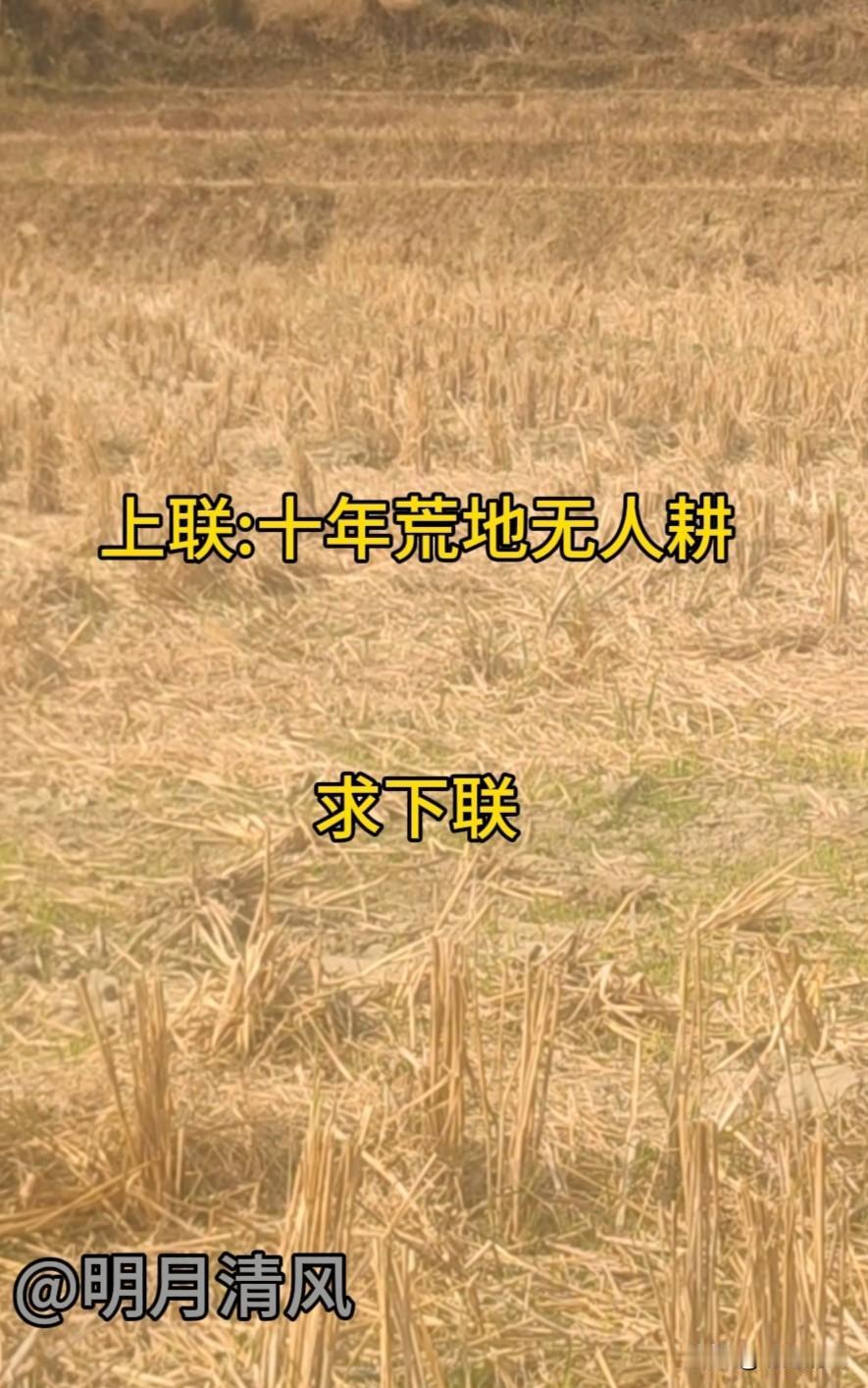 考考你的语文水平，高手请
上联:十年荒地无人耕
下联:——？
对联 友友请展示下