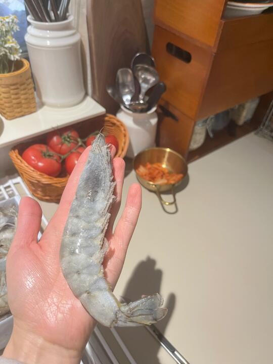 手掌大的虾🦐