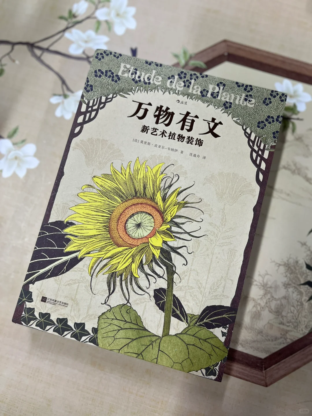 读一本绝美的艺术图书，给自己充“植”