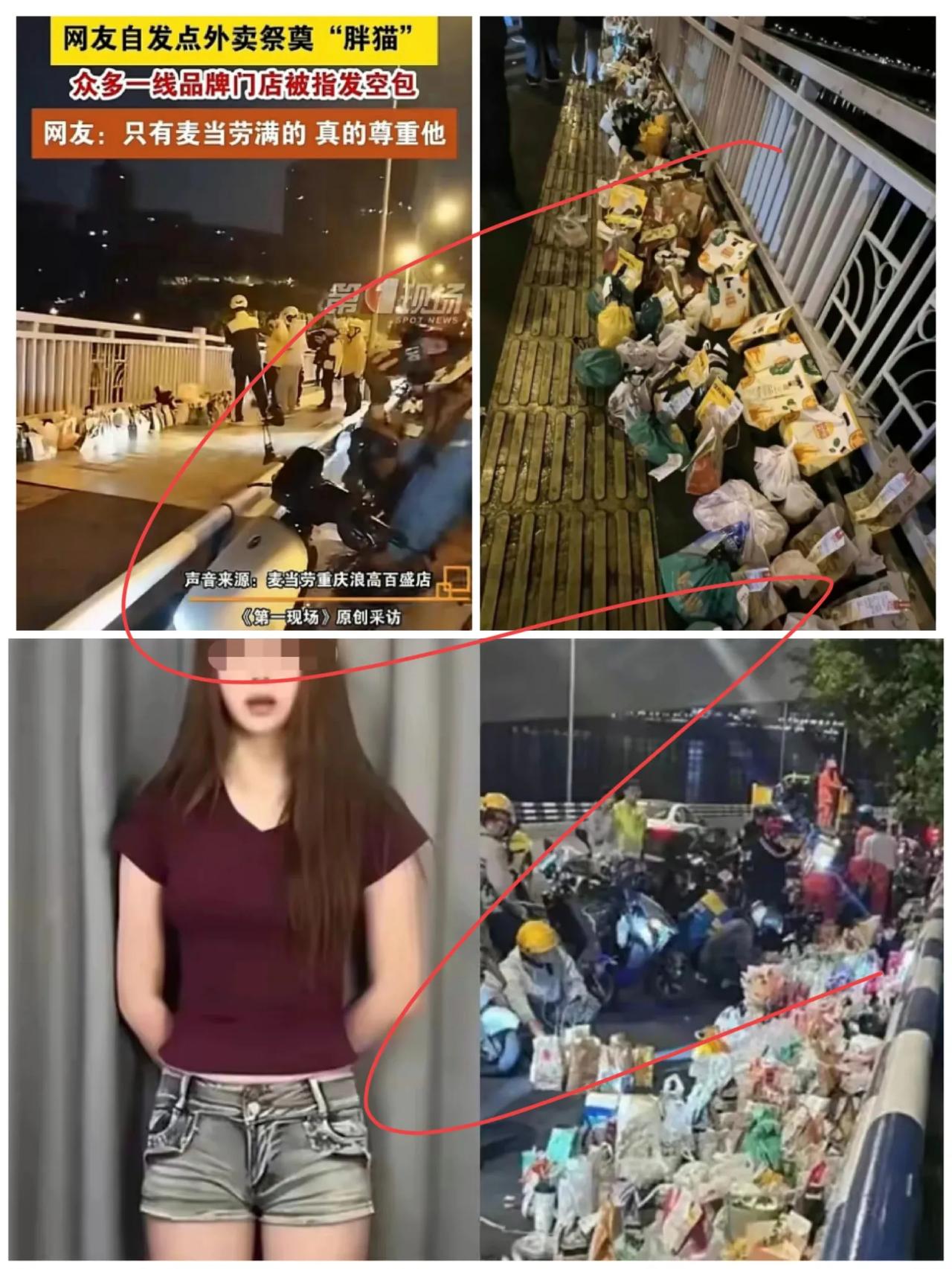 “胖猫”事件反转！警方通报，真相大白：网络舆论背后的真实操控者曝光，谁该为逝者负