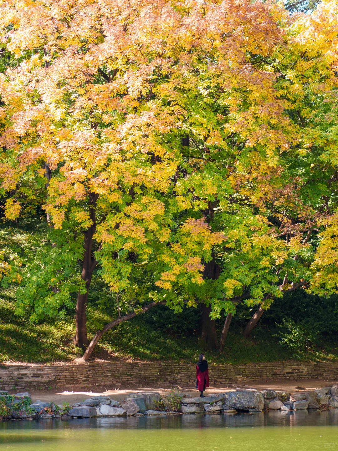 北京🍂颐和园秋日胜景如约而至