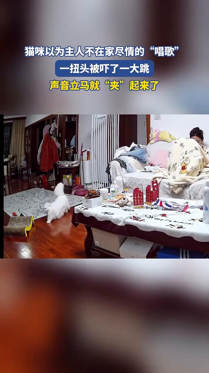猫咪以为主人不在家尽情的"唱歌"，一扭头被吓了一大跳，声音立马就"夹"起来了。