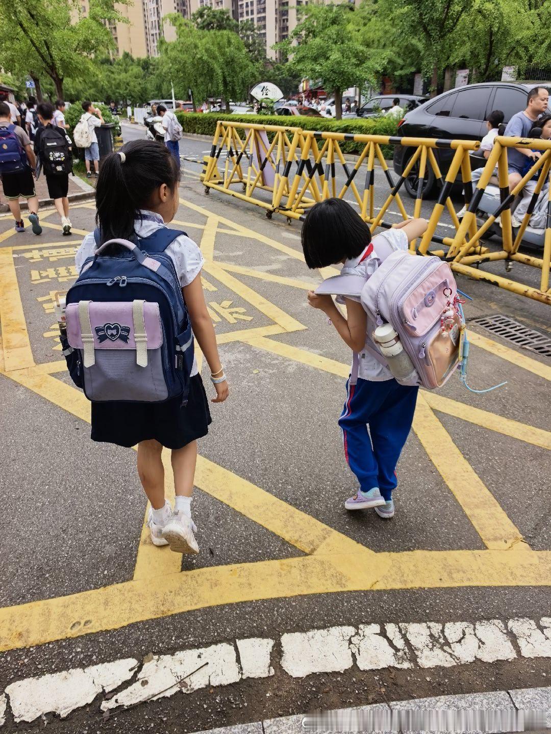 今天升旗 早早进校妮娜一家饭团团日常