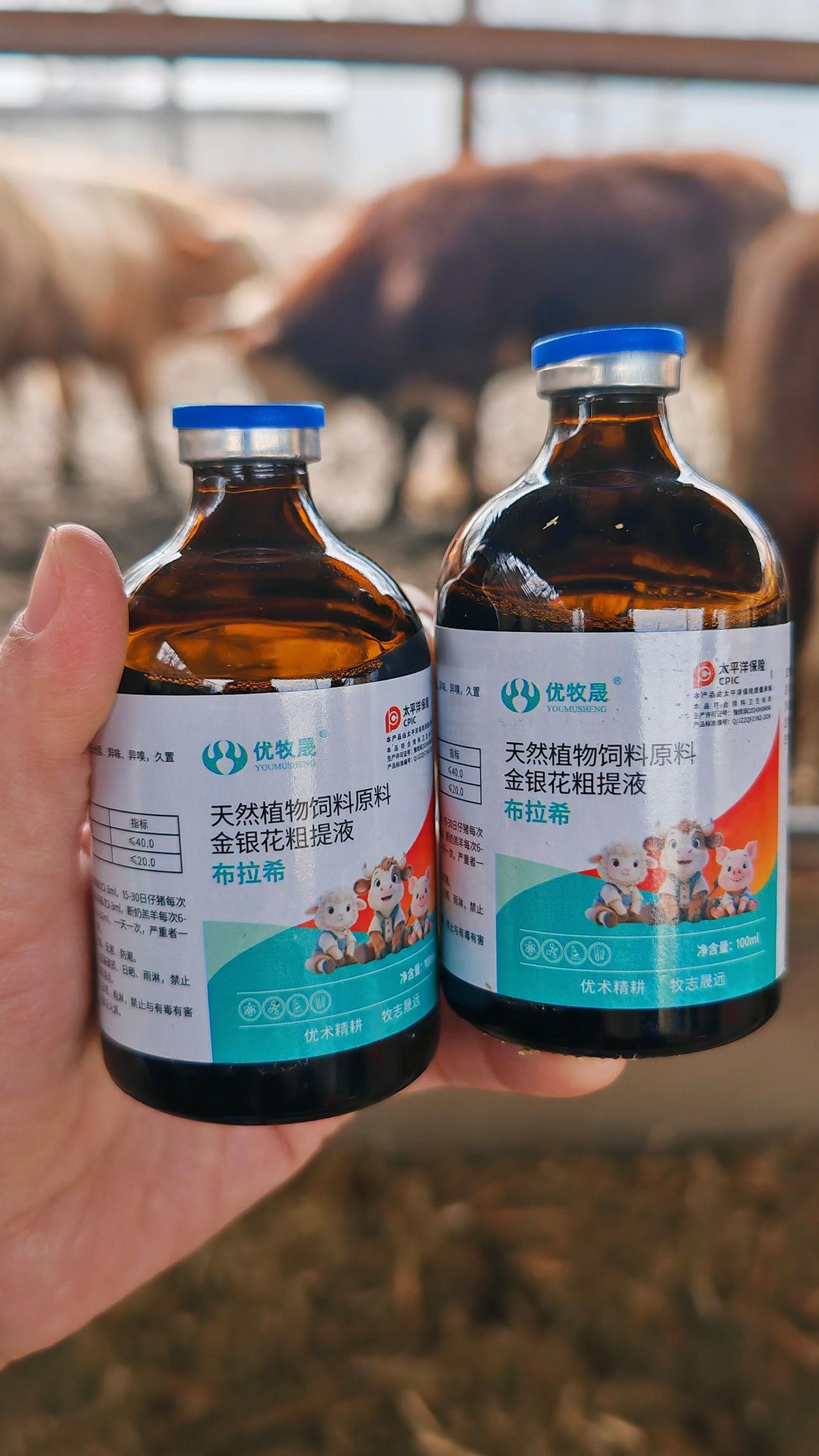 养羊人 农村养羊 牛羊养殖