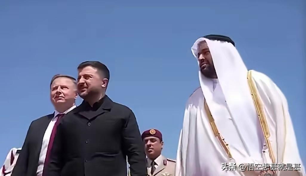 乌克兰民众值得同情，但是小泽基忙着跑到他国去提供支持，而不是劝和，就有点让人难以