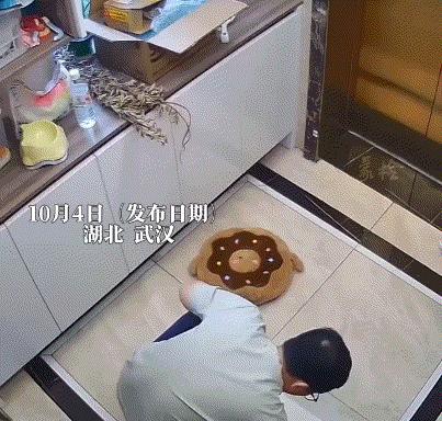 这事儿真是让人看得心里发毛！武汉一哥们在家跟自己养了两年的猫玩得好好的，谁能想到
