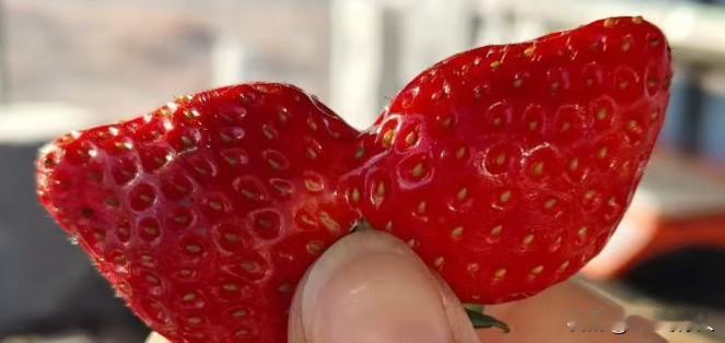冬日生活打卡季现在的草莓都有连体婴儿了。这长得挺浪漫呀！