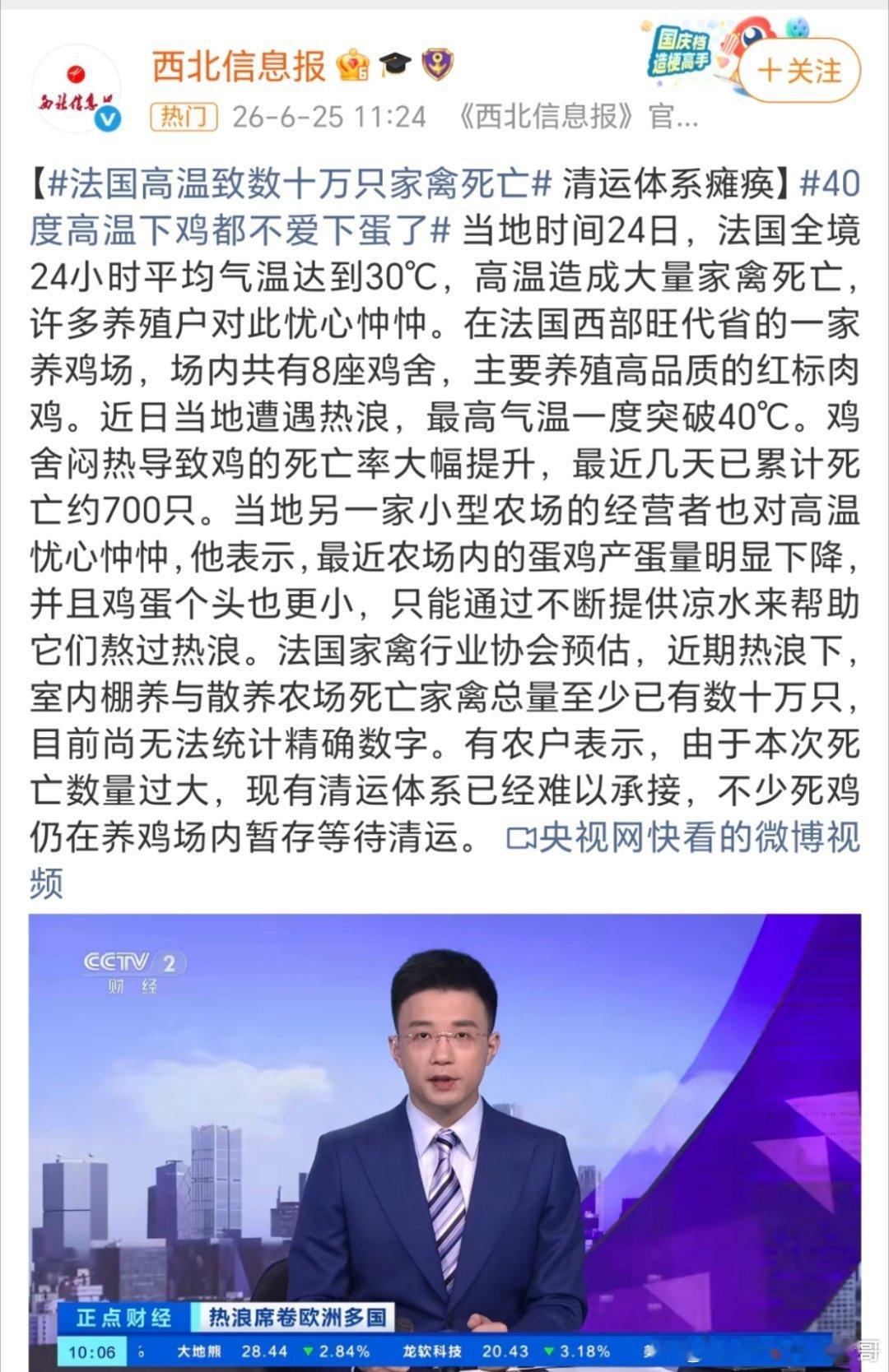 法国高温致数十万只家禽死亡都已经到了清运瘫痪的地步了吗？