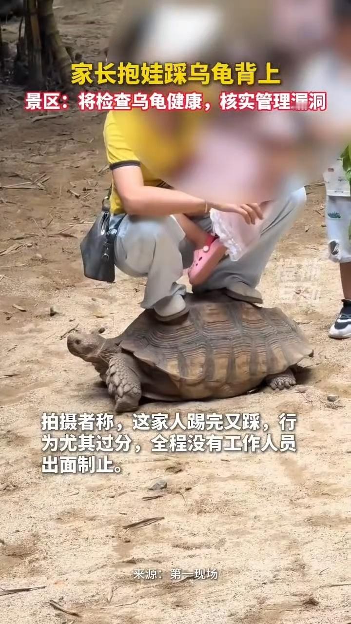 这辣鸡抱着孩子两个人踩在乌龟身上要是我在现场看见，我肯定会当场开骂 