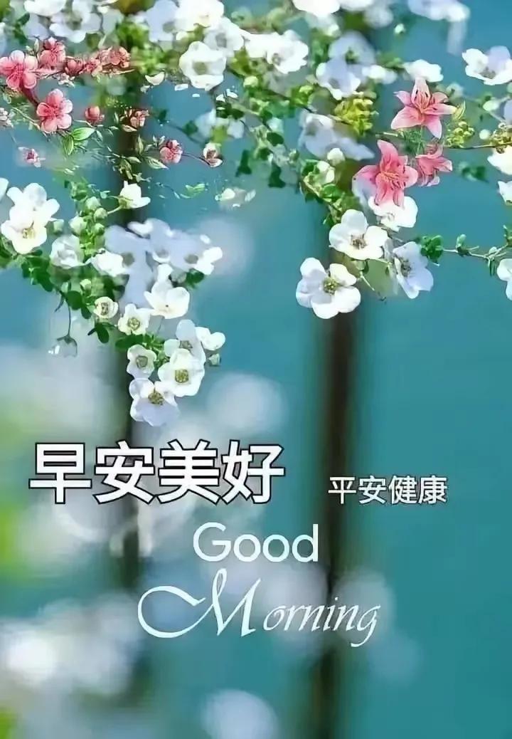 早安美好，平安健康，Good Morning🌸🌷