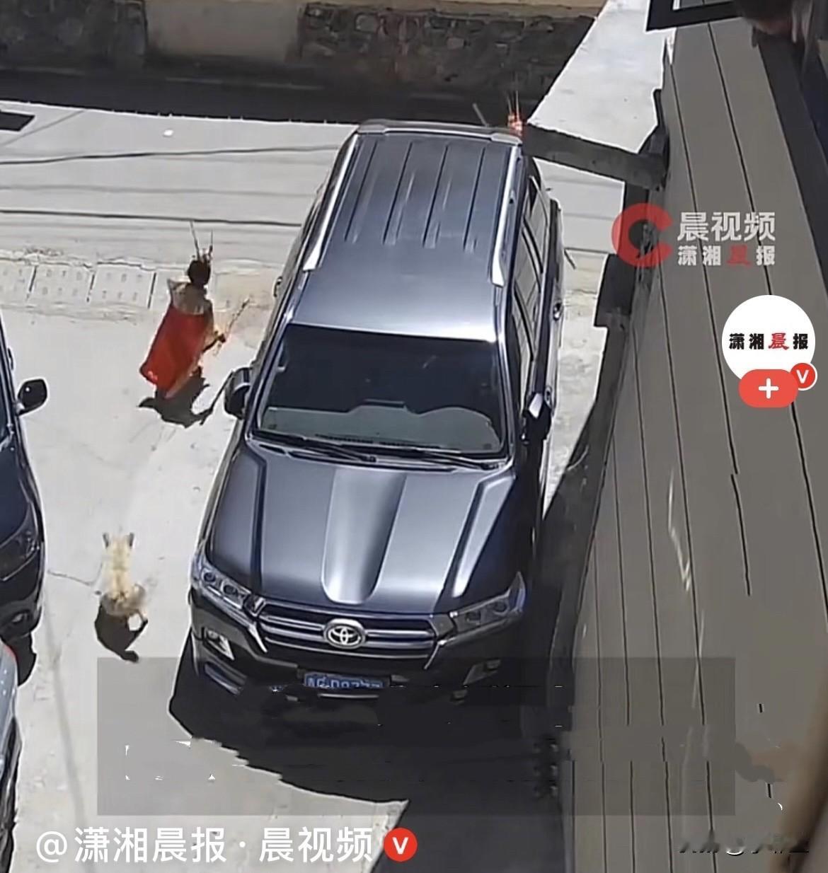 笑不活了……
近日.青海玉树街头，两个小男孩精心装扮成孙大圣，身披战甲、头戴凤翅