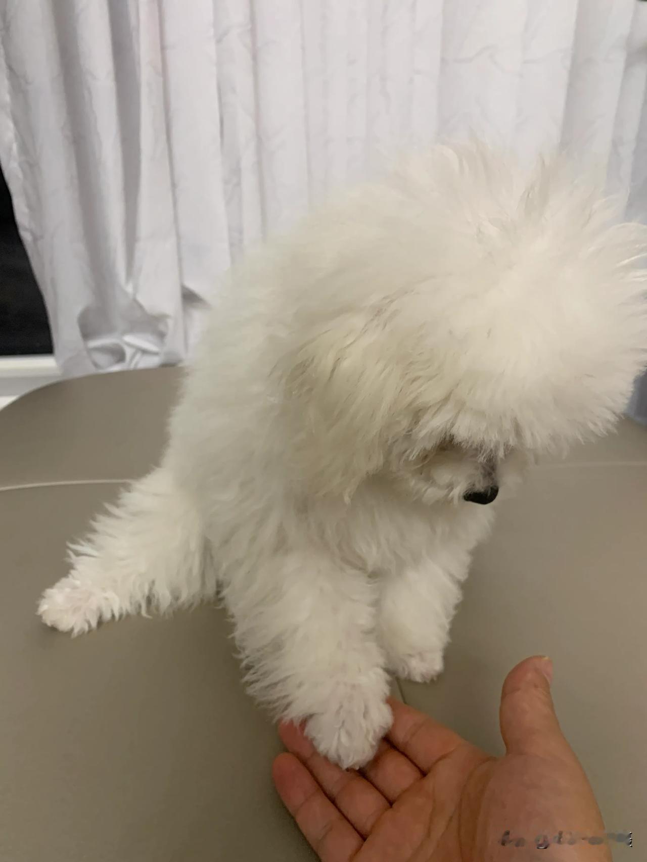  回藁城老家参加一个小范围的同学聚会，很多是四五年不见的，也有几个常年在外地趁着