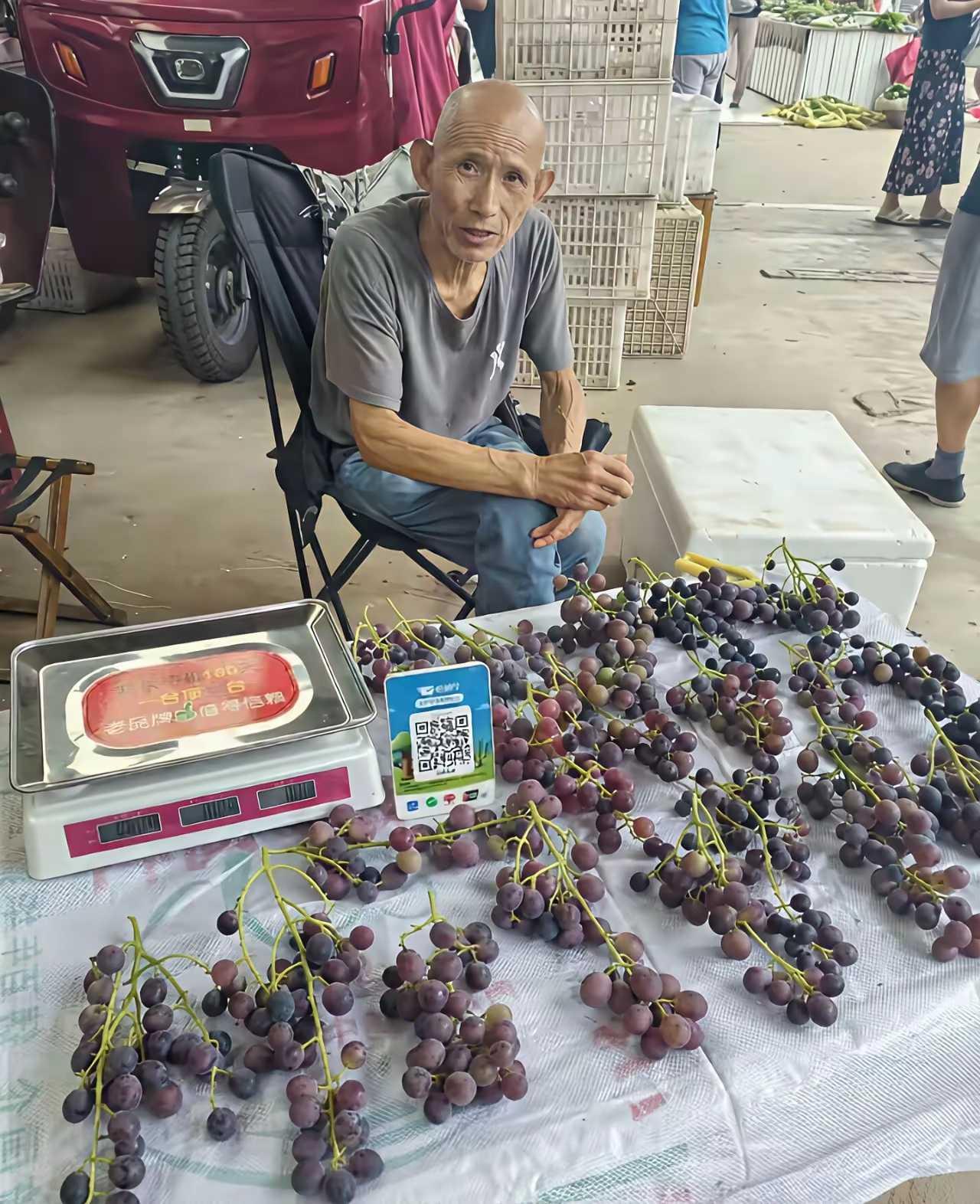 大爷还是别卖葡萄了，长得稀稀拉拉，一串没几个，估计也卖不出去。