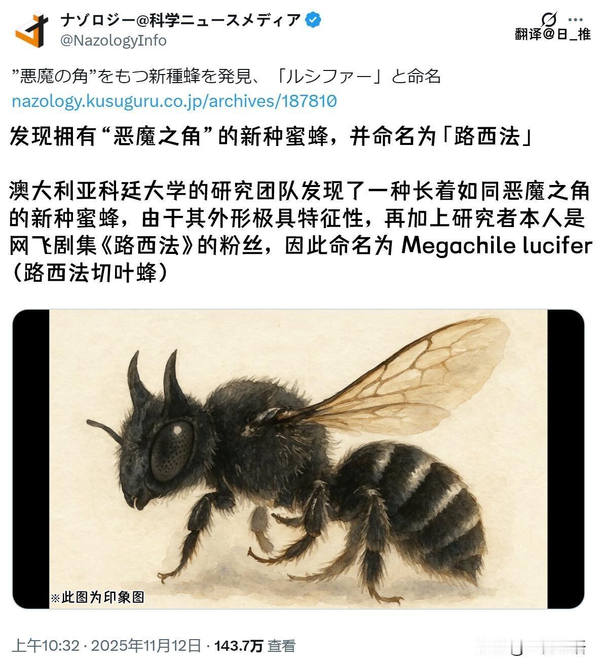 我的天！澳洲居然发现新蜜蜂了！

这小家伙长着俩“恶魔之角”，
也太特别了吧！