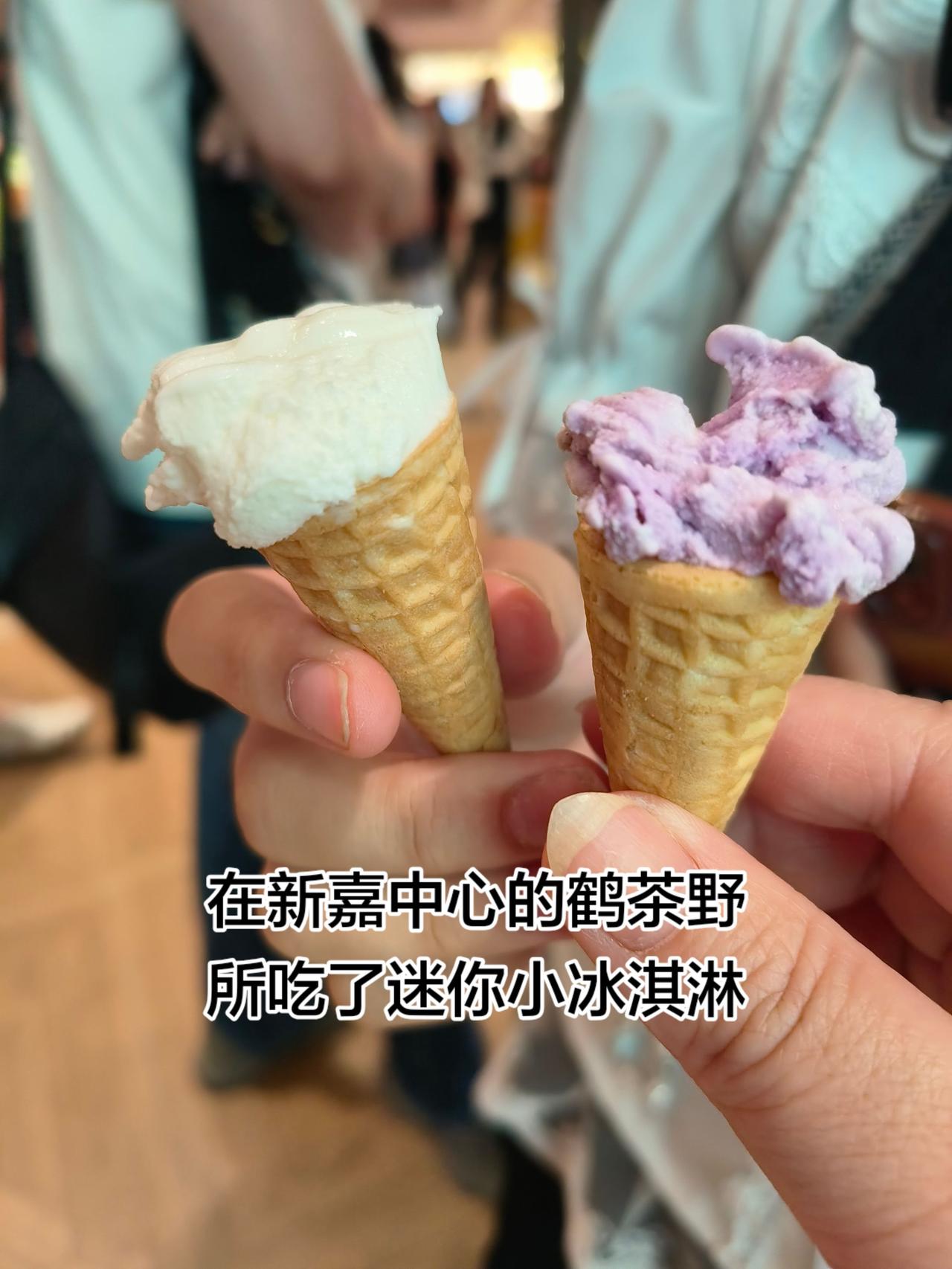 冰淇淋牛乳。
新嘉中心 美食 鹤茶野所 打卡