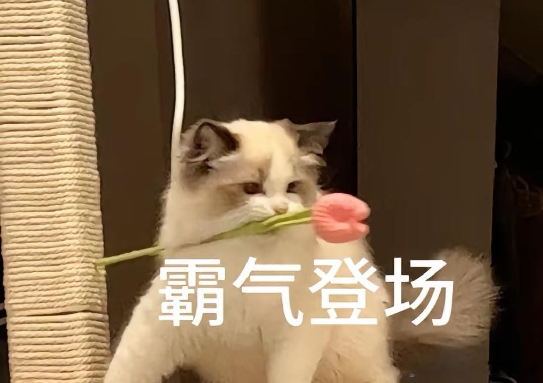 华为发布会搞得微博崩了[揣手][揣手][揣手]红包都领不了，不信你们试试发给我[