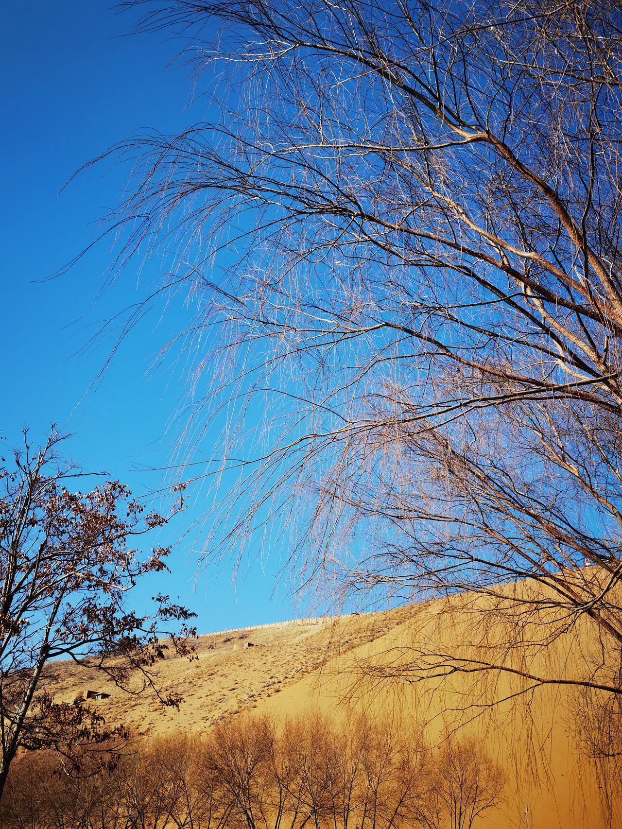 我就居住在腾格里沙漠边缘的一个小城里，对走在沙漠上的那种感觉，真是独特又难忘。有