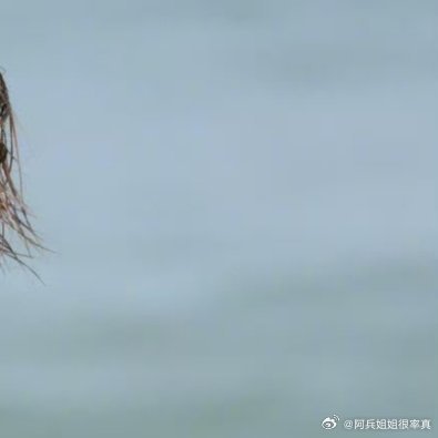鹿晗鹿晗哈哈哈哈哈鹿晗gapday音乐节不管道路多曲折，都会以最初的心陪你走最远