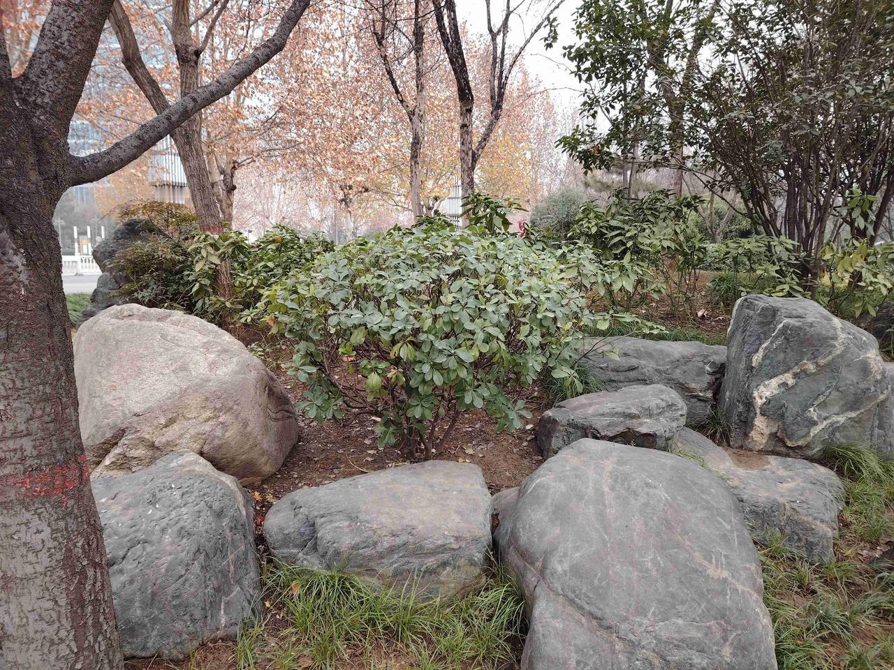 有一段时间，佟老师辗转反侧，彻夜难眠。
佟老师那年45岁，曾担任过乡村高中校长，