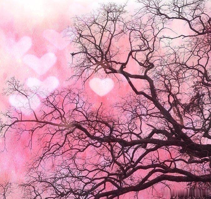 “我已决定坚持爱。恨是太沉重的负担。 ”——马丁·路德·金 