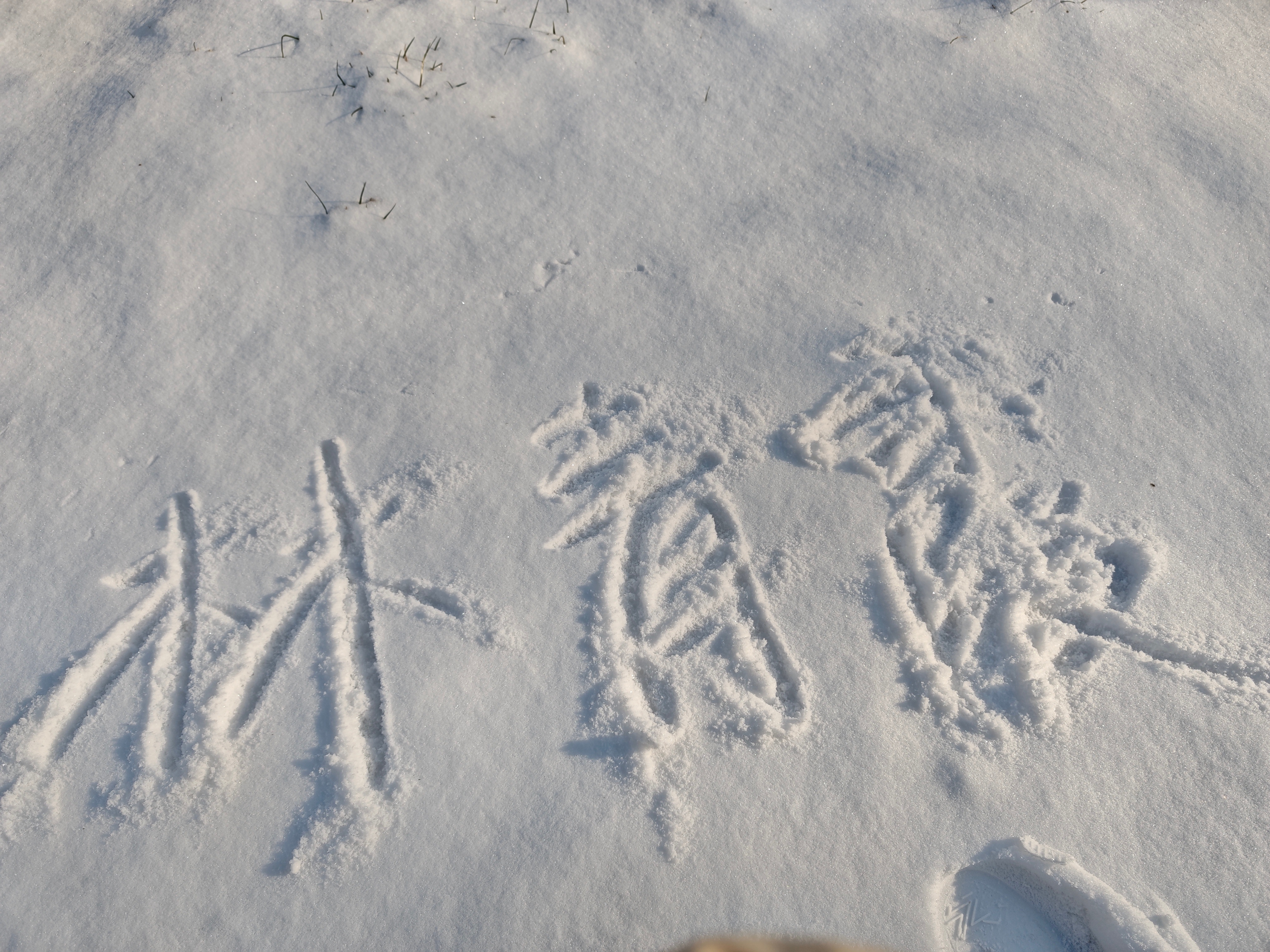 我要永远珍藏这场雪昨晚顺嘴说了一句想在雪地写id，宝贝就来和我分享了雪景，今天更