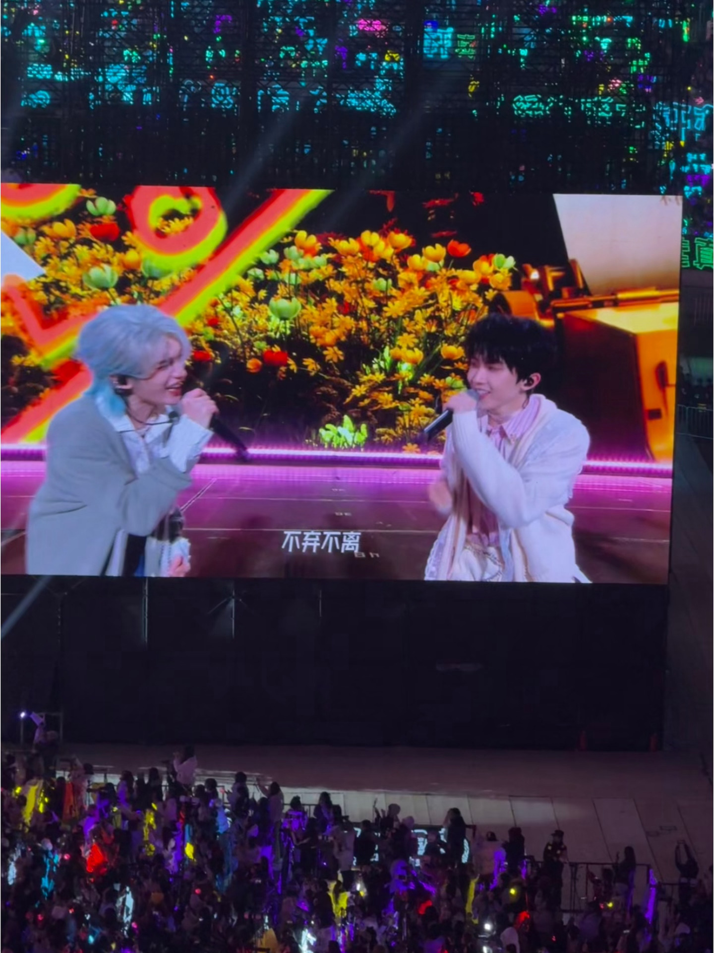 不弃不离 ​​​