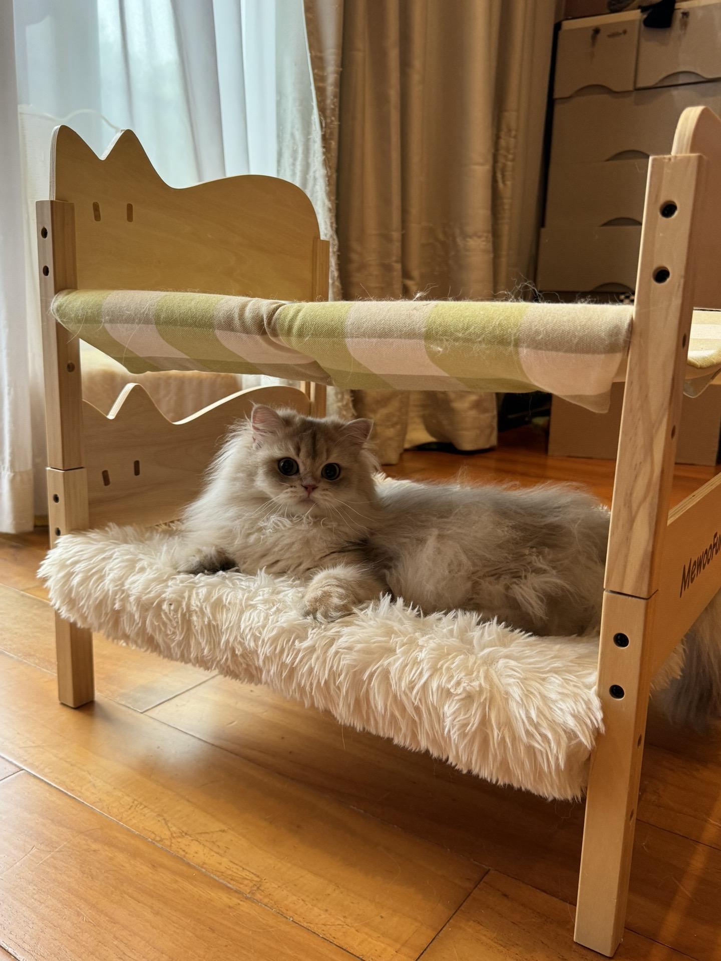 毋庸置疑，它是全世界最可爱的宝宝❤️。