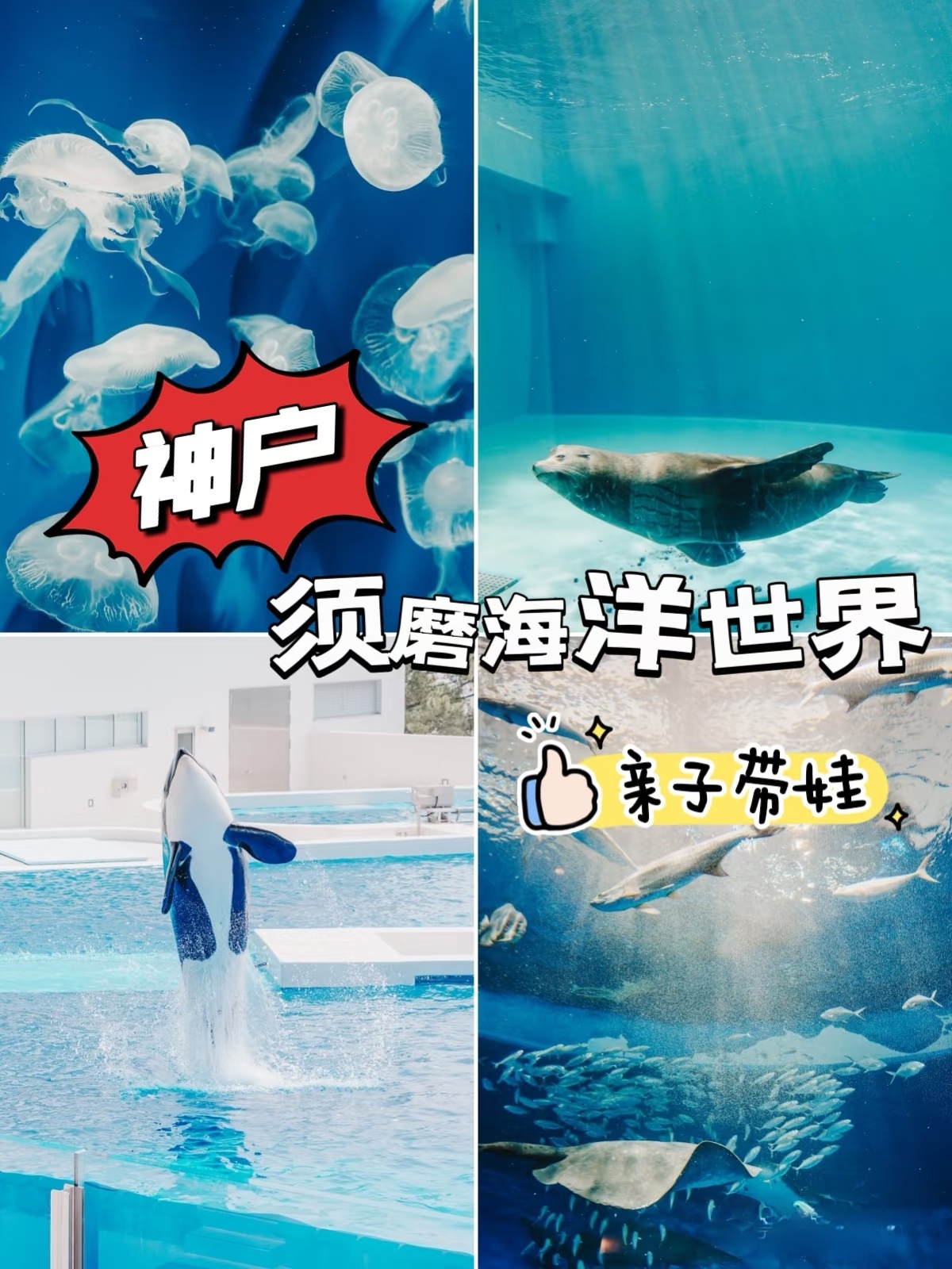 神户须磨海洋世界❗我会永远安利给每一个人📍地址：兵库县神户市须磨区若宫町1-3