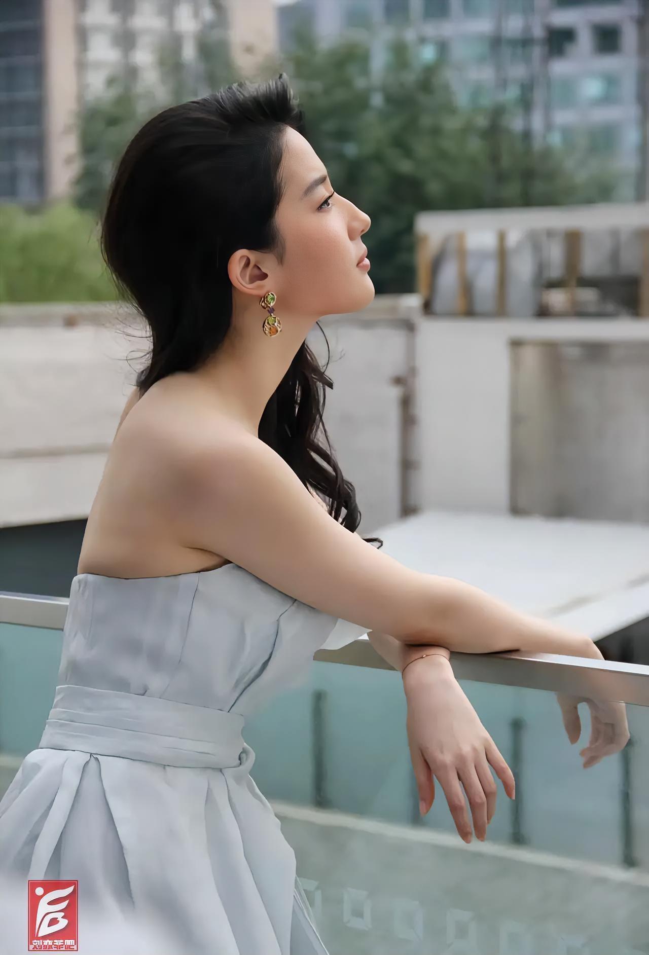刘亦菲
侧颜无双[比心]