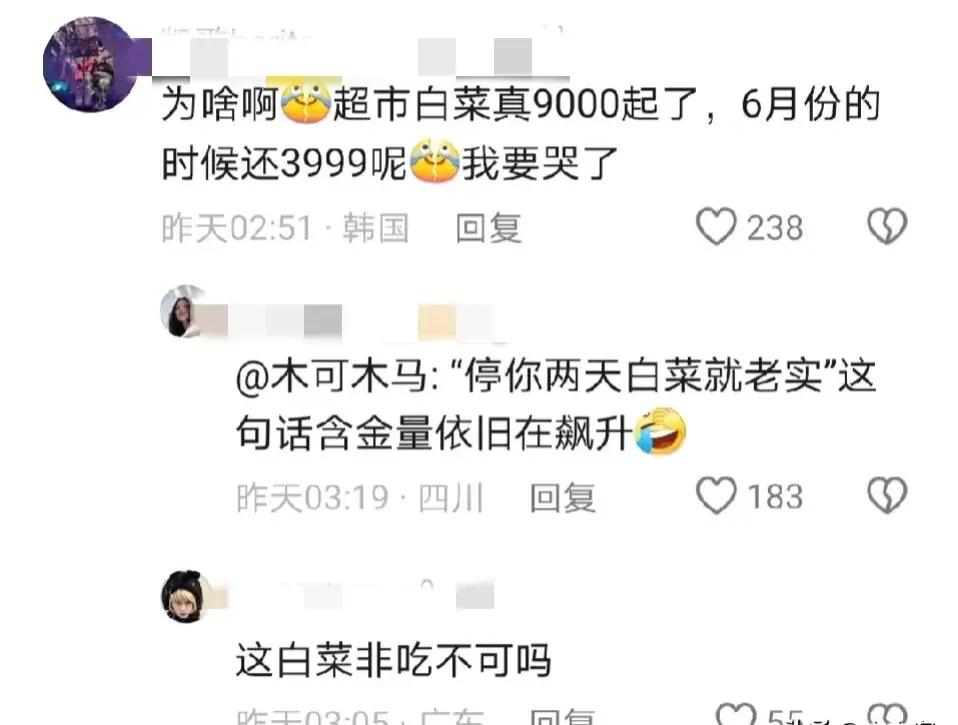 中国向韩国出口的十六吨大白菜已顺利抵达，令人惊喜的是，这批白菜享受了零进口关税的