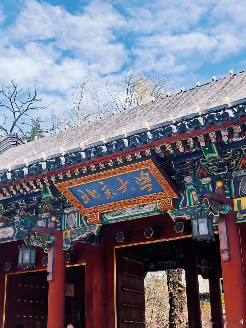 宽窄观察 夏日的北大校园，是一方被时光温柔浸润的文化秘境。未名湖畔，荷叶田田铺展