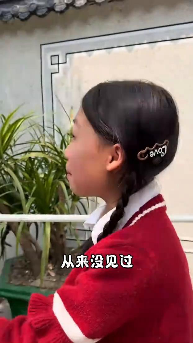 从来没见过飞那么低的飞机，在哪里？飞过来了。