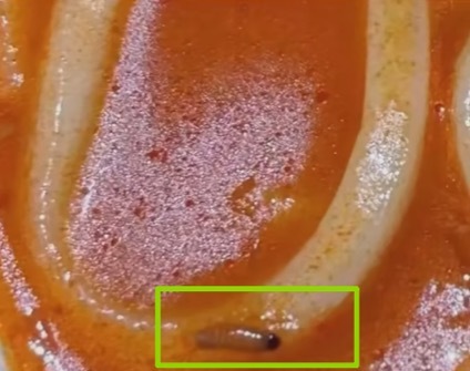 山姆吃出蛆虫乌冬面仍在售卖山姆和品牌方均称乌冬面排查无异常 日前，有消费者透露，