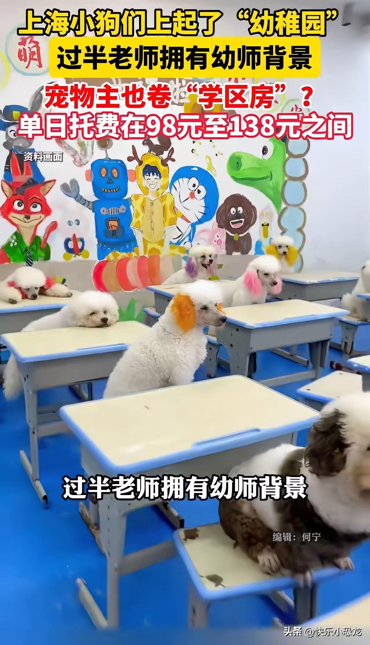 太有意思了！这个世界太疯狂了，人活的像狗，狗活的像人！上海一群小狗竟然上起了专属