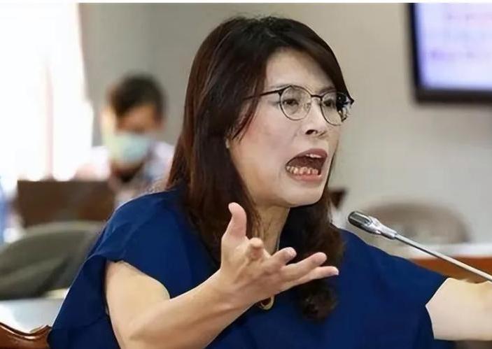 郑丽文去美国进行所谓的交流和宣传，说到底就是一场政治作秀场，也是一次政治投机，是