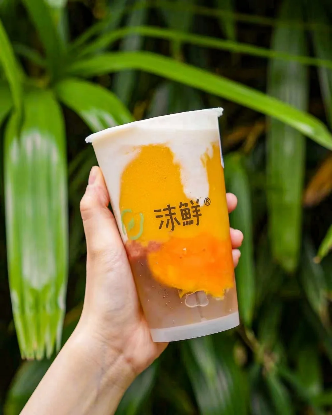 芒果口味怎么样？