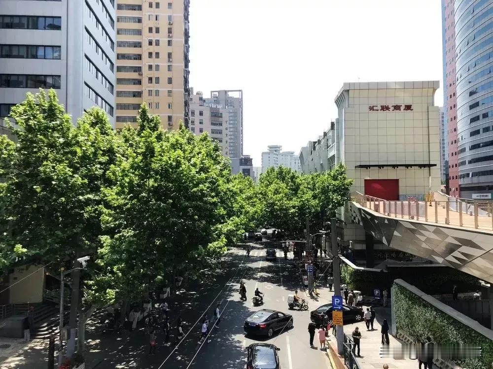 做了爷爷奶奶就是不一样，出门在外总不忘买点好吃的带回去。
从交大出来后我们又来到