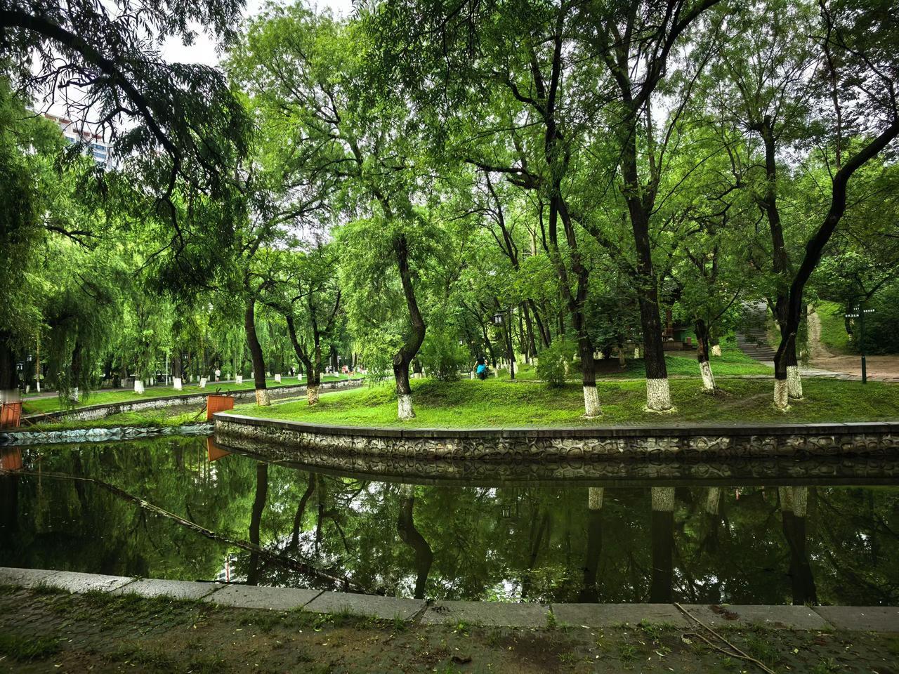 分享你随手拍的风景北方的夏日里很多美景不输南方，气候凉爽景色秀美。