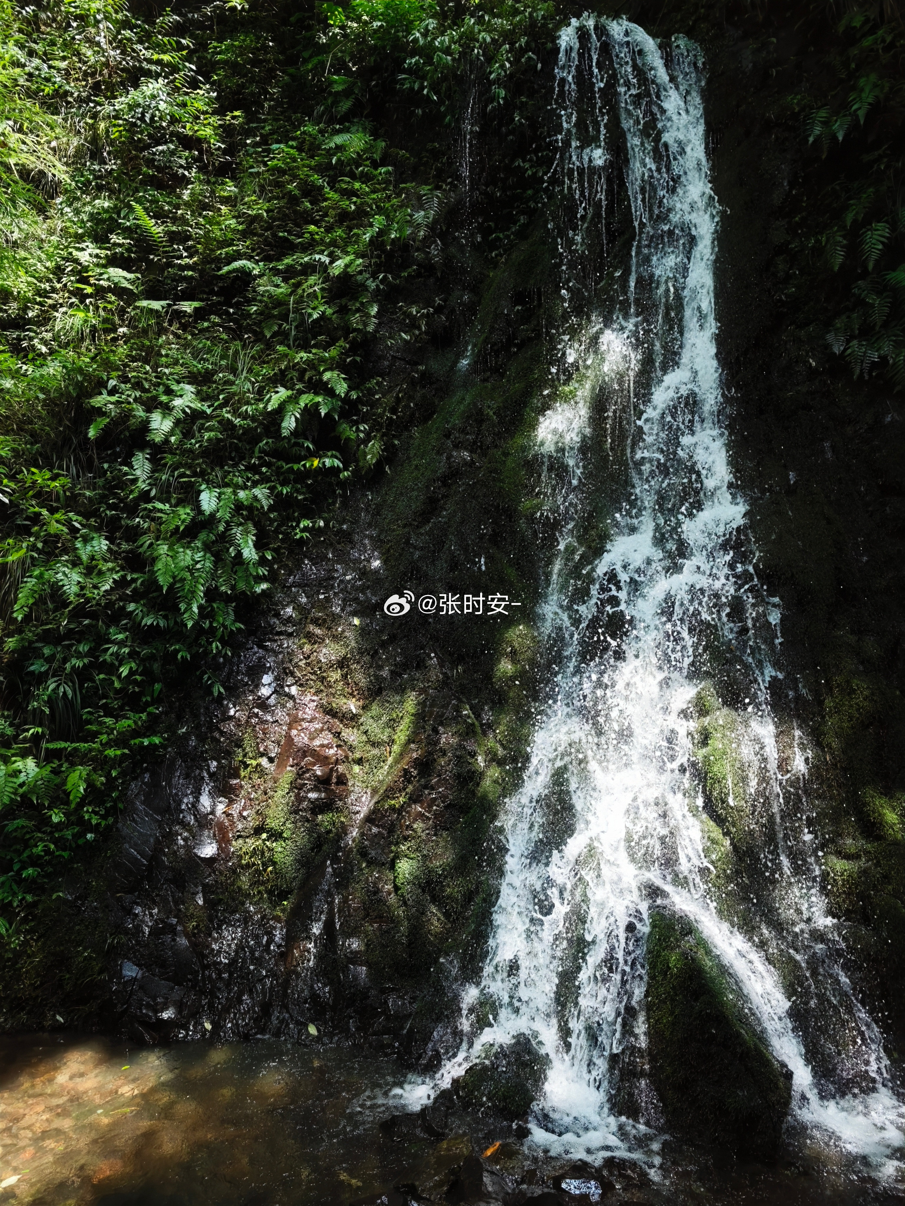 心情不好就去山里走走，虽然也不会好到哪里去，但是也能缓解一点 