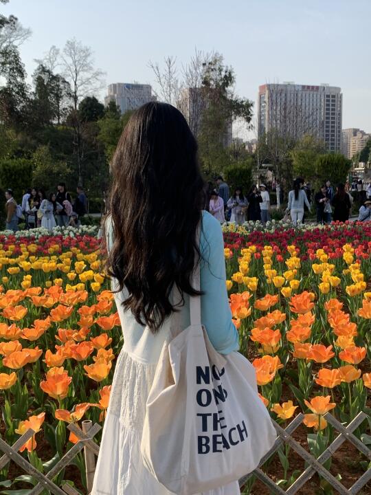 春日赴约郁金香🌷