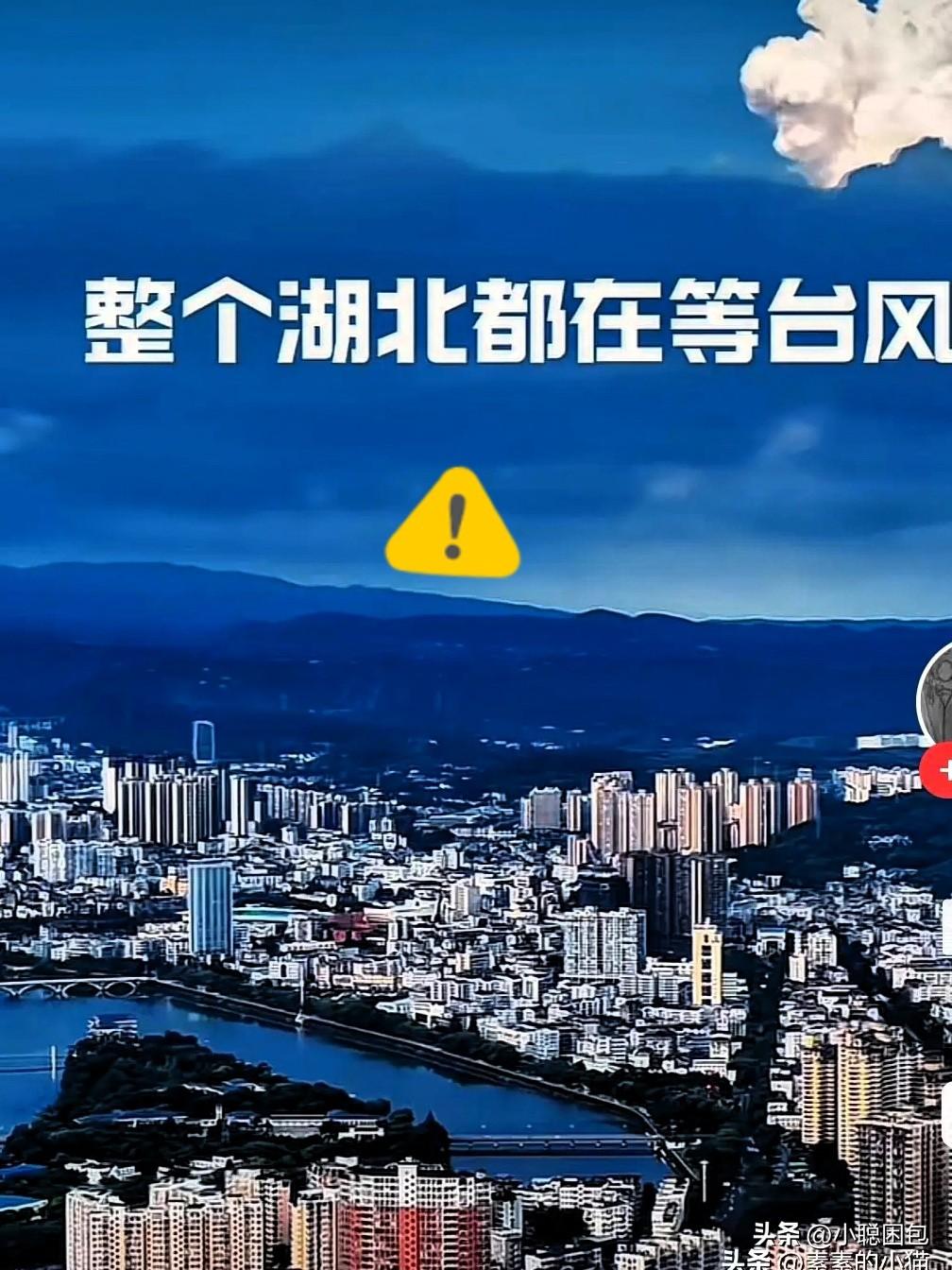 整个 湖北都在等台风
整个武汉都在等台风
囤吃的  囤喝的  囤水冲厕所

武汉