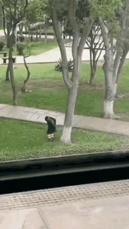 你说他不要脸吧，他还知道蒙脸來，你说他要脸吧，他还干这事。